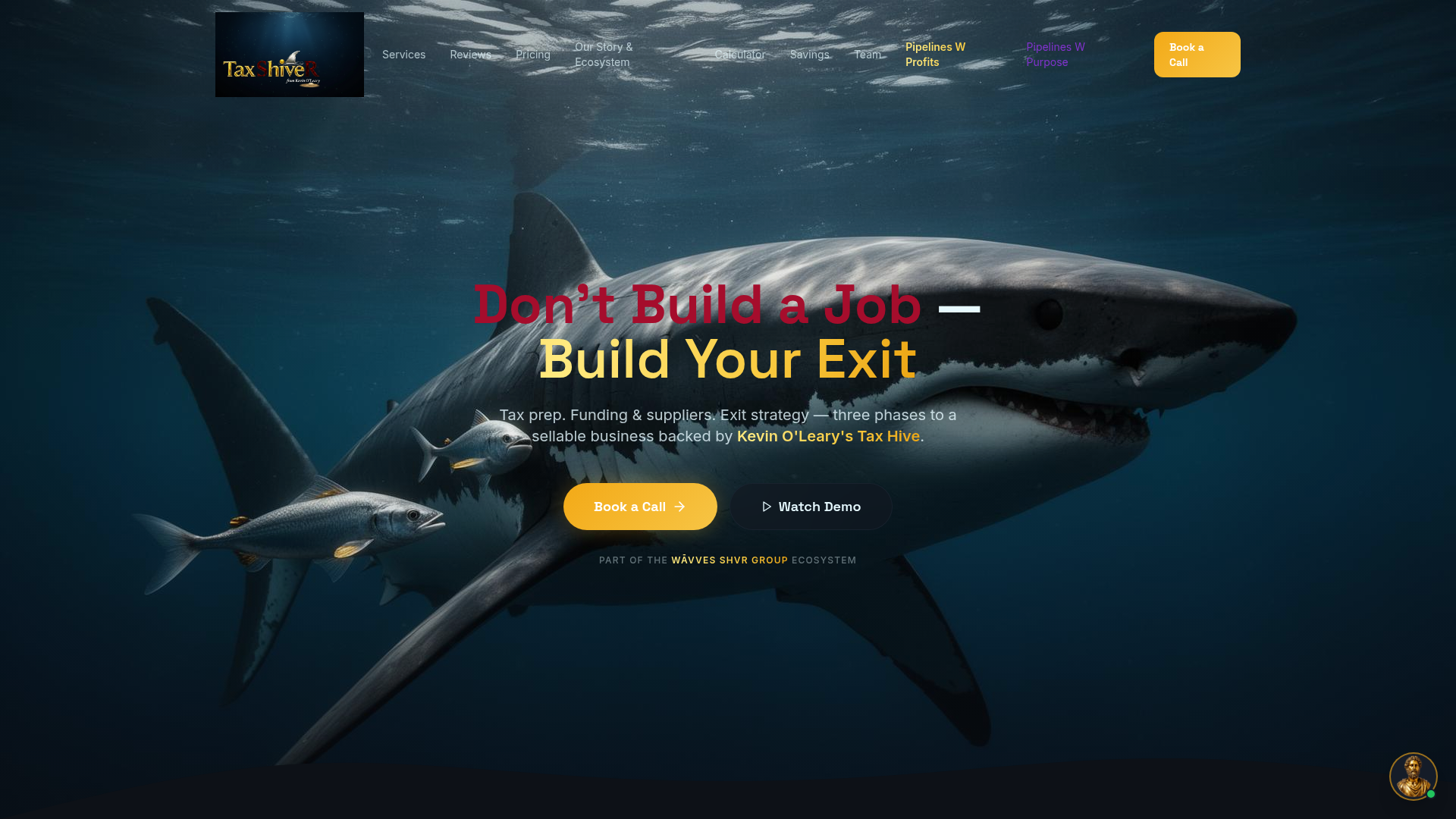 Snapshot of shvr.ai